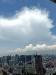 One Pearl Bank (D3), Apartment #531487141